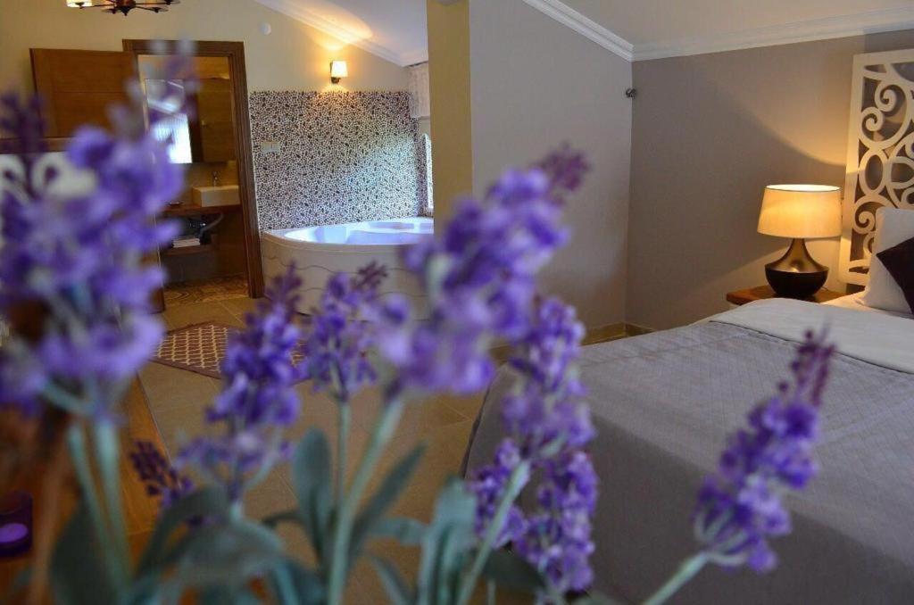 Agva Sweet Home River Hotel Екстер'єр фото